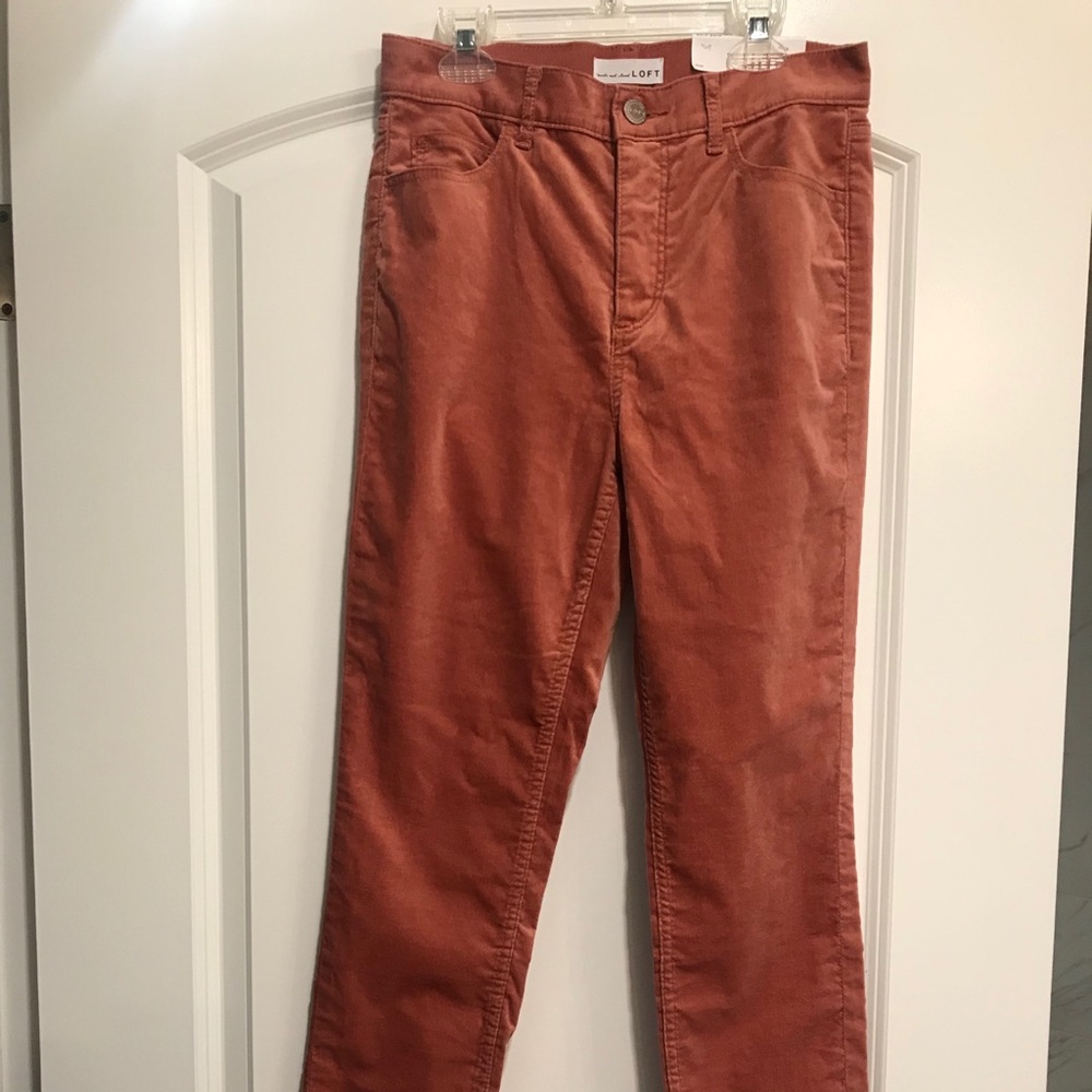 Loft velvet pants NWT